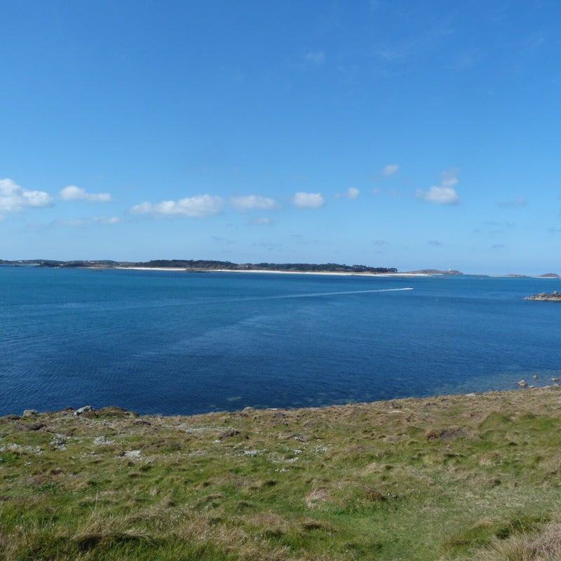 P1030682-1.jpg