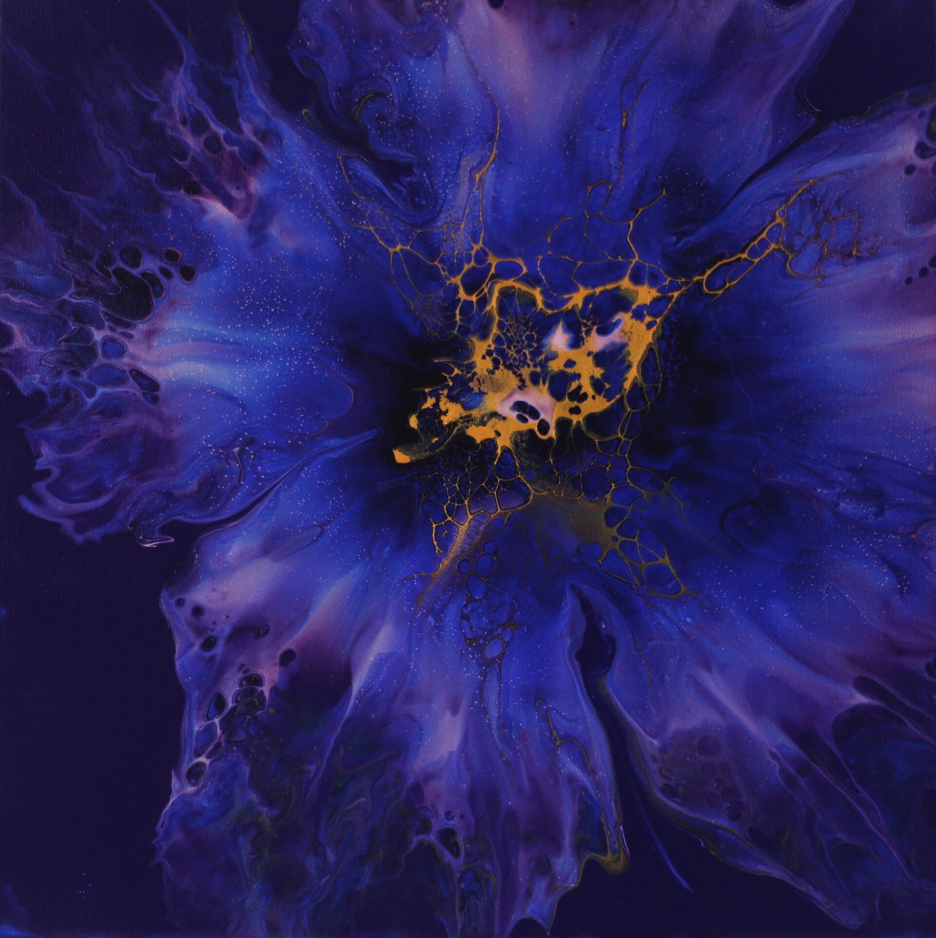 Violet Bloom
