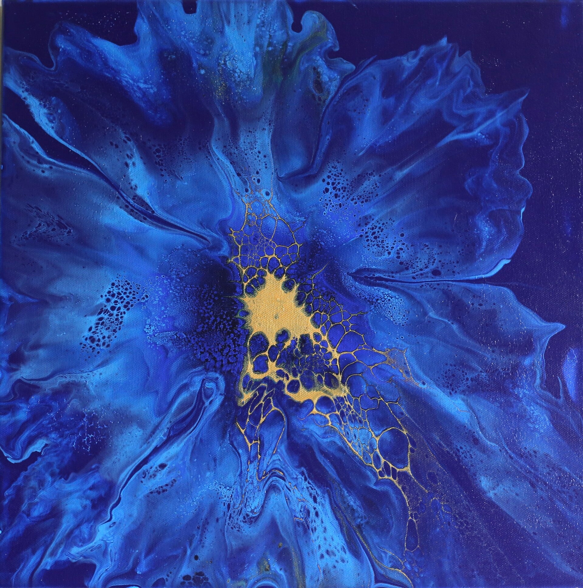 Midnight Bloom