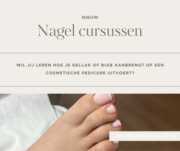 Privé cursus 6 december