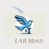 LAB MIND