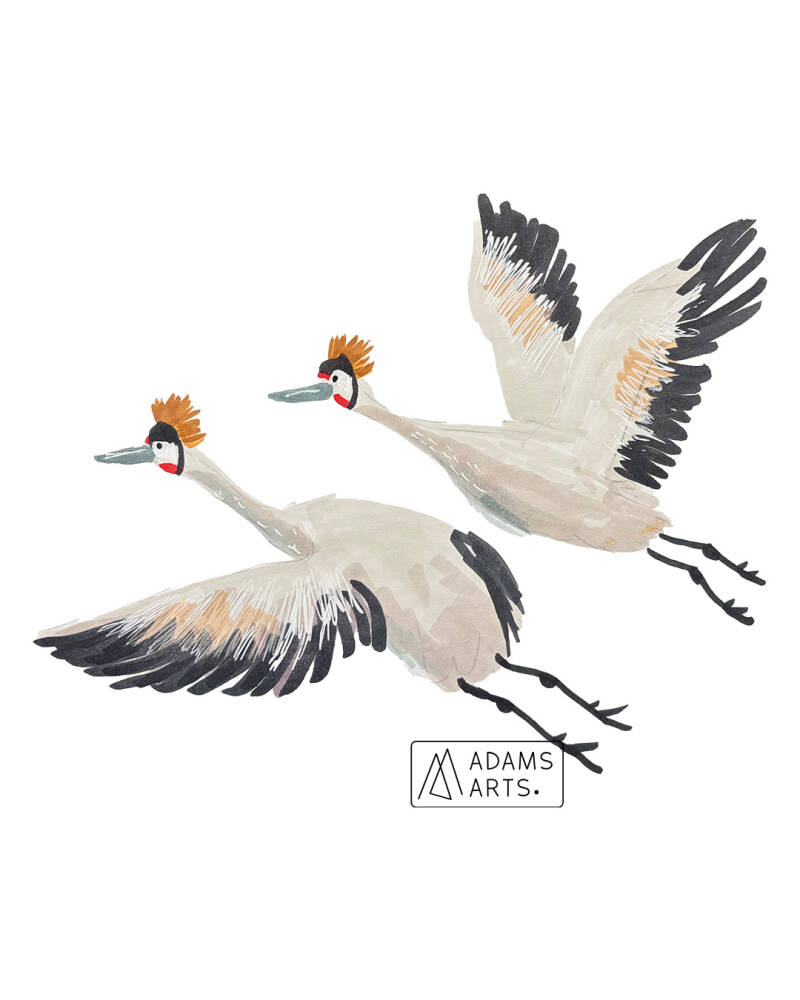 geboortekaartje-illustratie-op-maat-kraanvogels-annelien-adams-arts-standard.jpg