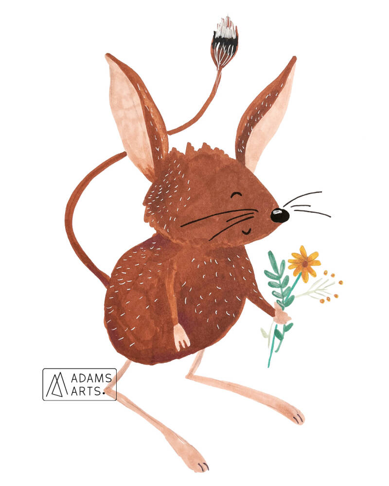 illustratie-illustrator-jerboa-springmuis-annelien-adams-arts-standard.jpg