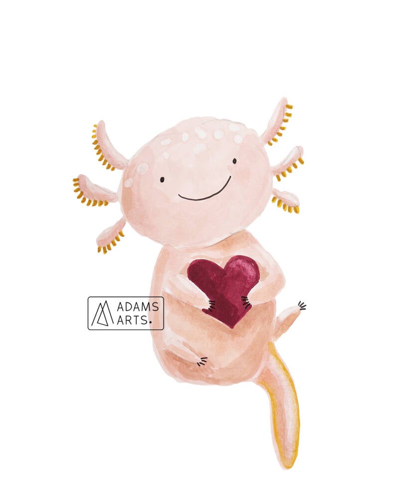 illustratie-op-maat-axolotl-heart-annelien-adams-arts-standard.jpg