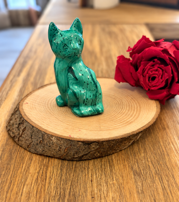 Chat en malachite