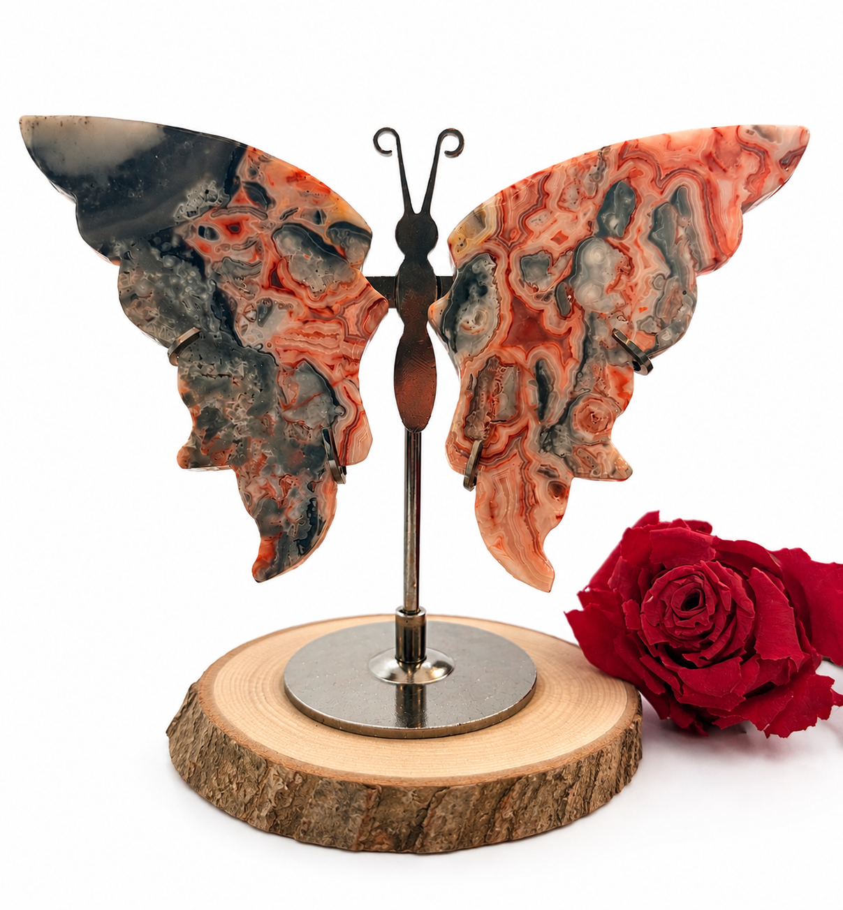 Papillon en Agate Crazy sur socle – 12 cm