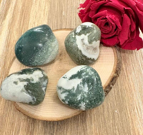 Agate Mousse