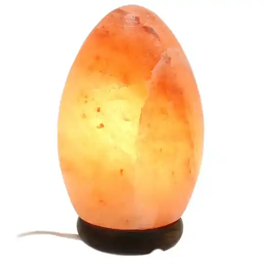 Lampe de sel naturel Himalaya Oeuf 20cm