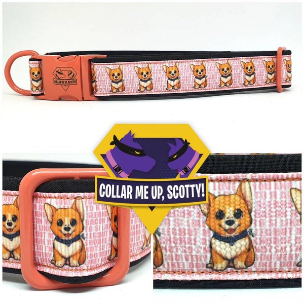 Corgi halsband