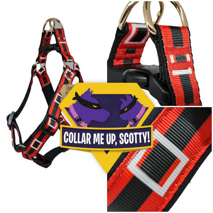 Santa's belt Harnas