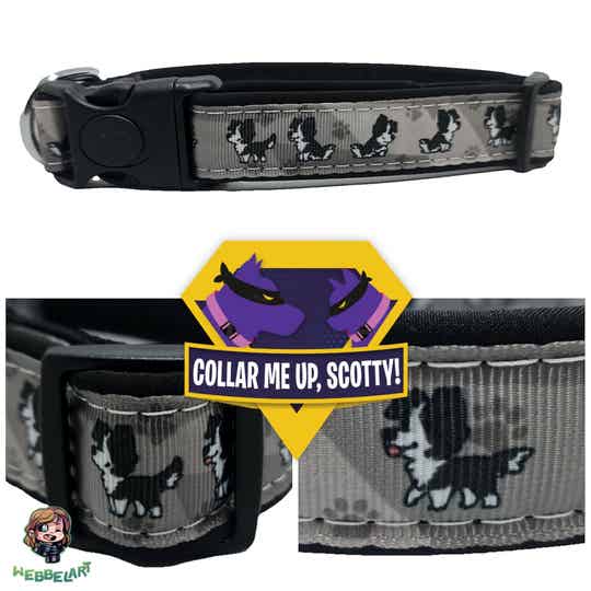 Border Collie halsband