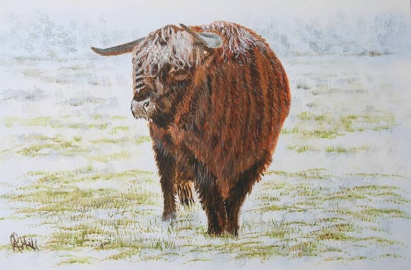 Highland Life