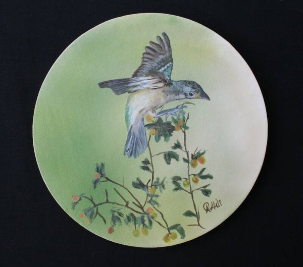 Painted Bunting Bird