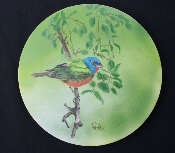 Painted Bunting Bird 2