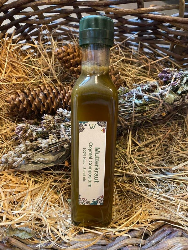 Mutterkraut Oxymel