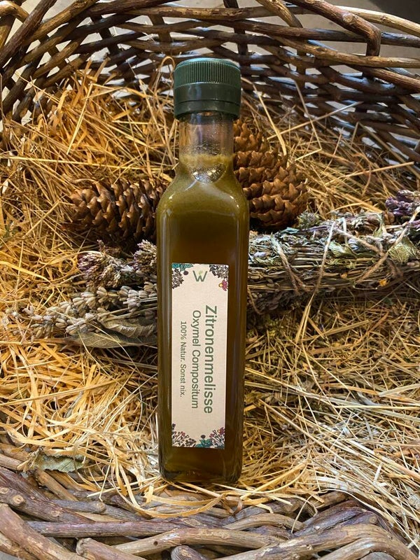 Zitronenmelisse Oxymel