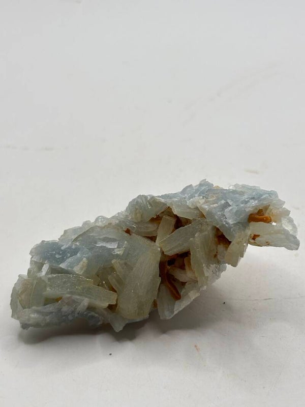 Blauwe Barriet