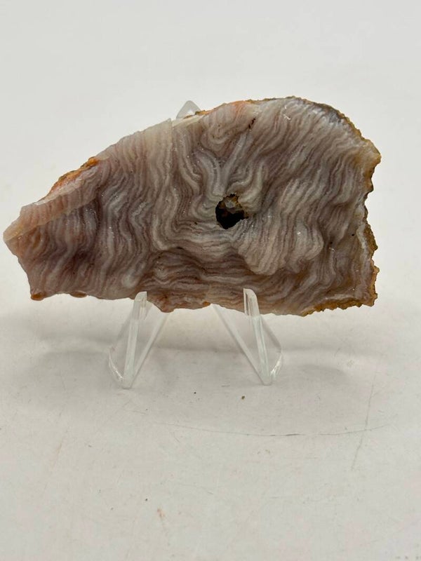 Chalcedoon