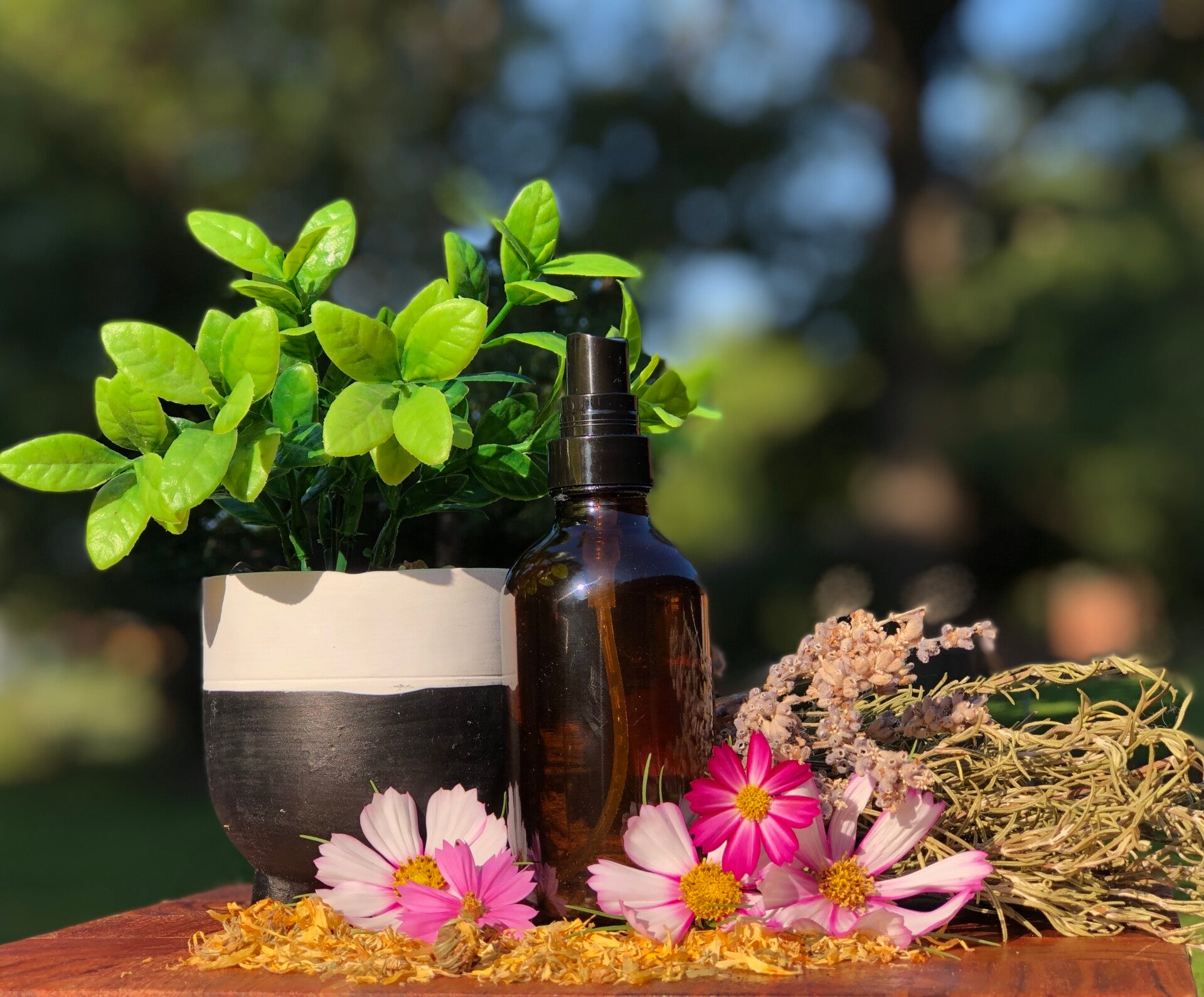 Flower Power and Herbal Hydrosols