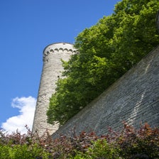 DSC02676.jpg