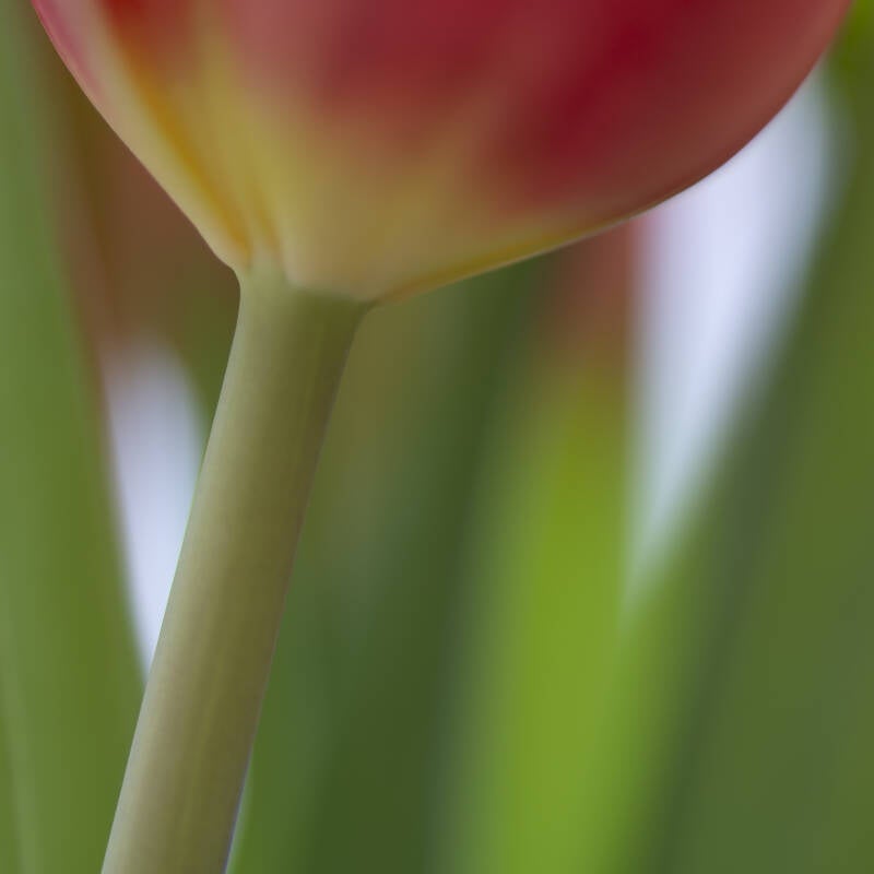 49695019602_f7cb801c88_o.jpg