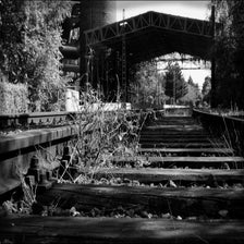 Railsmetgras00001-1.jpg