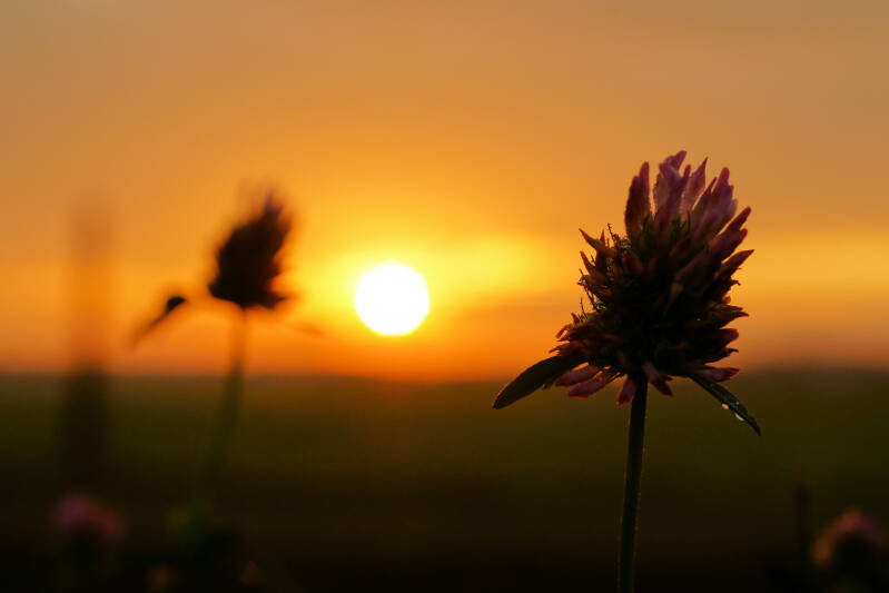 Zonsopkomst500001.jpg