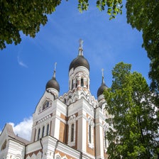 DSC02683.jpg