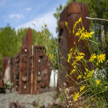 DSC03167-2.jpg