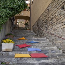 DSC09496.jpg