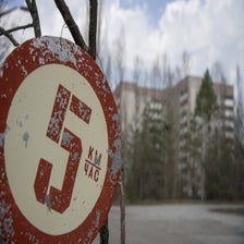 DSC06194-1.jpg