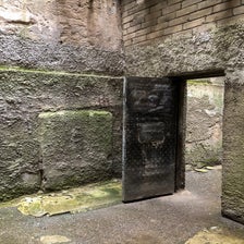 IMG_2043.jpg