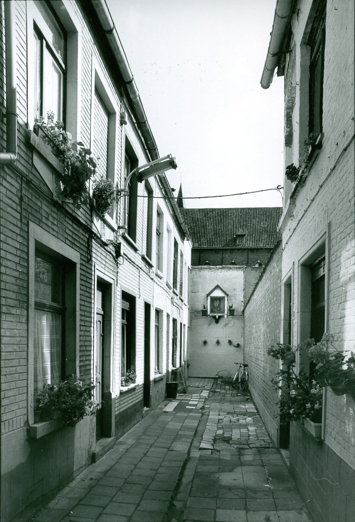 beluik-koolsteeg-6-elisabethbegijnhof-prinsenhof-papegaai-st