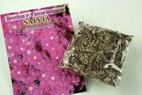 SALVIA CORTADA (PROTECCION Y LIMPIEZA)