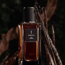 Babycat Raw Bourbon Yves Saint Laurent for women and men