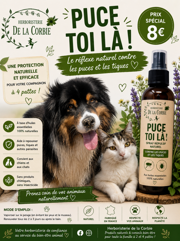 puce toi la