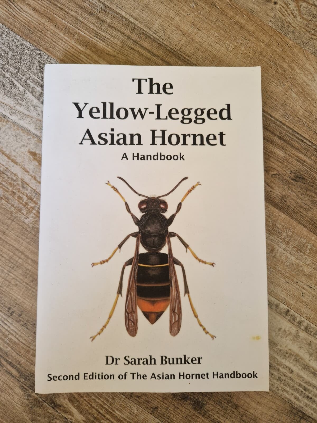 The Yellow-Legged Asian Hornet