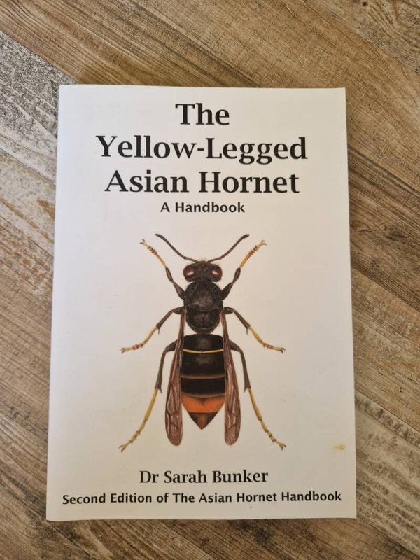 The Yellow-Legged Asian Hornet