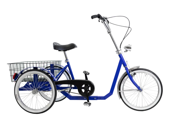 CICLO 3 RUOTE 20 C/DIFF. BLU