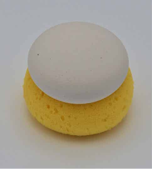 Sponsje (exclusief steen)