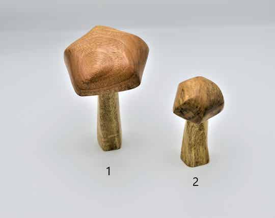 Houten paddenstoel / Wooden mushroom