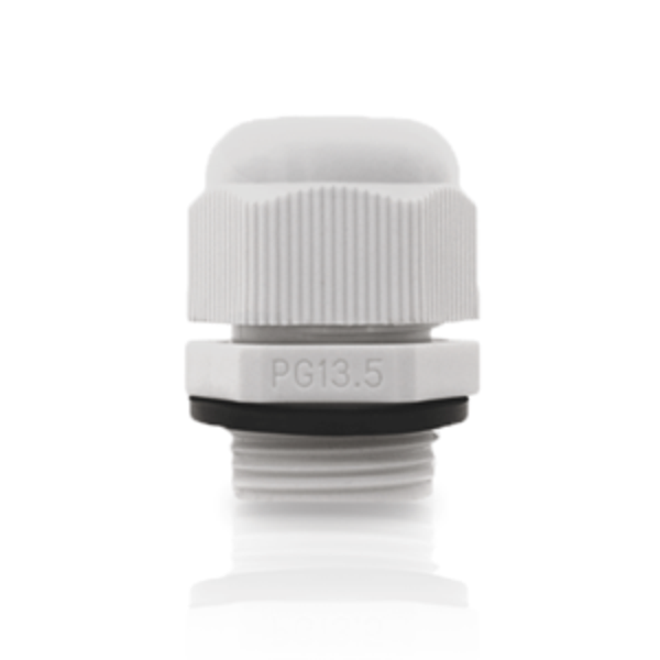 Kabelwartel PG13,5