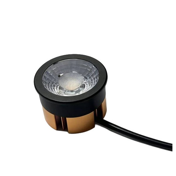 LED MODULE PRO 4Watt tot 6Watt CCT