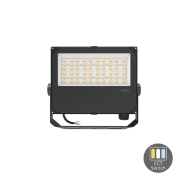 LED FLOODLIGHT 100W / 80 / 60Watt PRO
