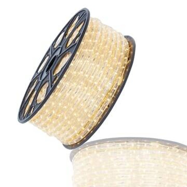 LED Licht Slang 50 Meter 230V