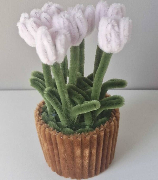 Tulips