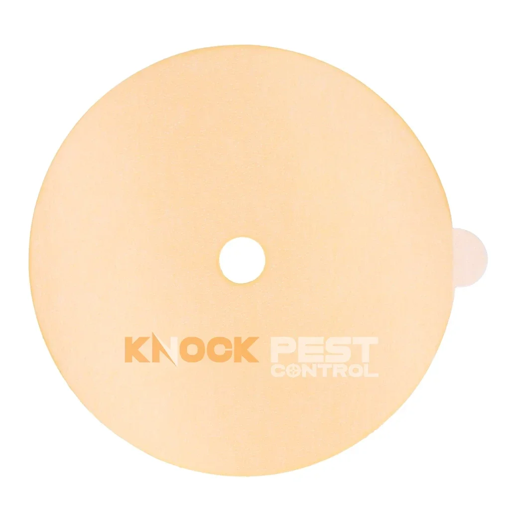 Knock Pest Lijmplaat