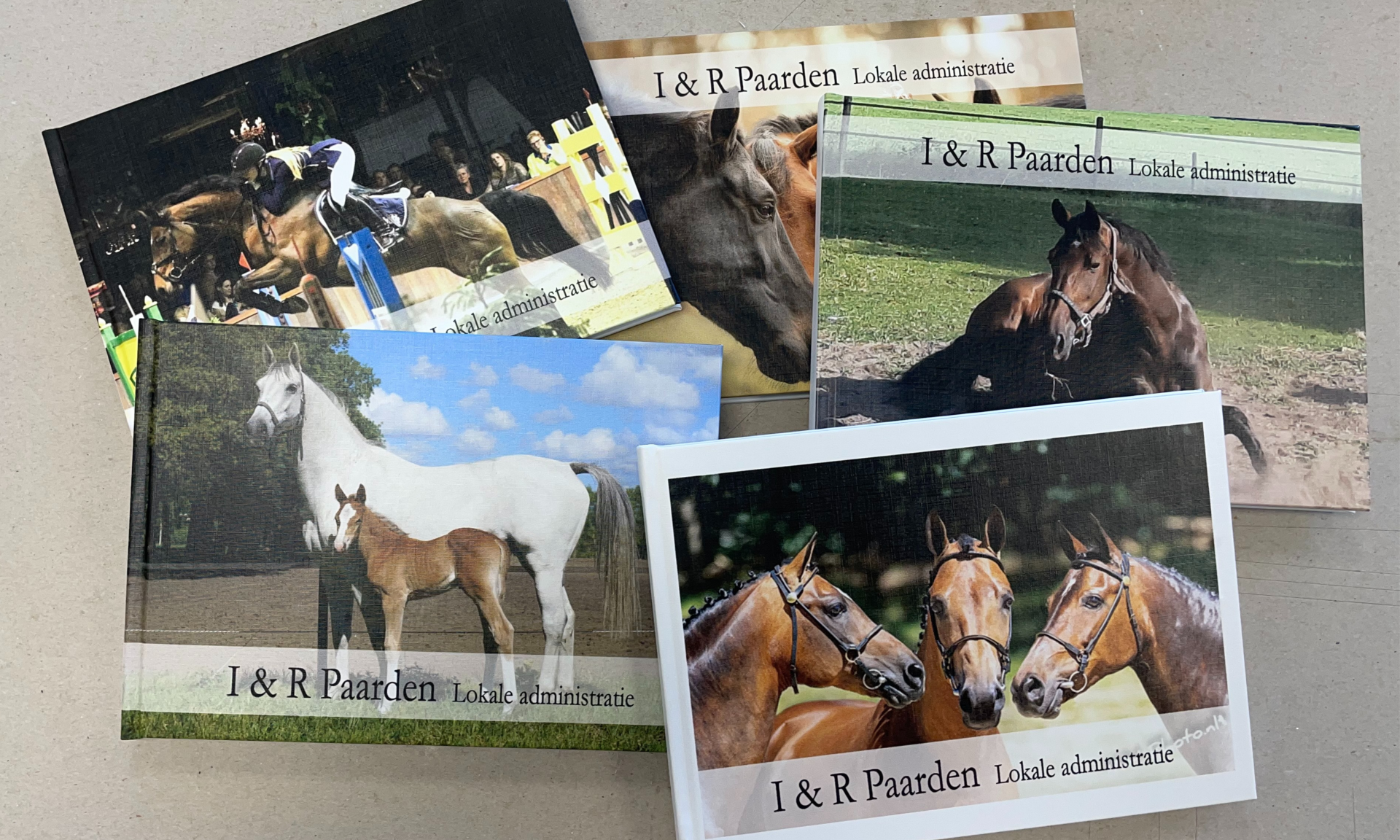 Paardenadministratie boek