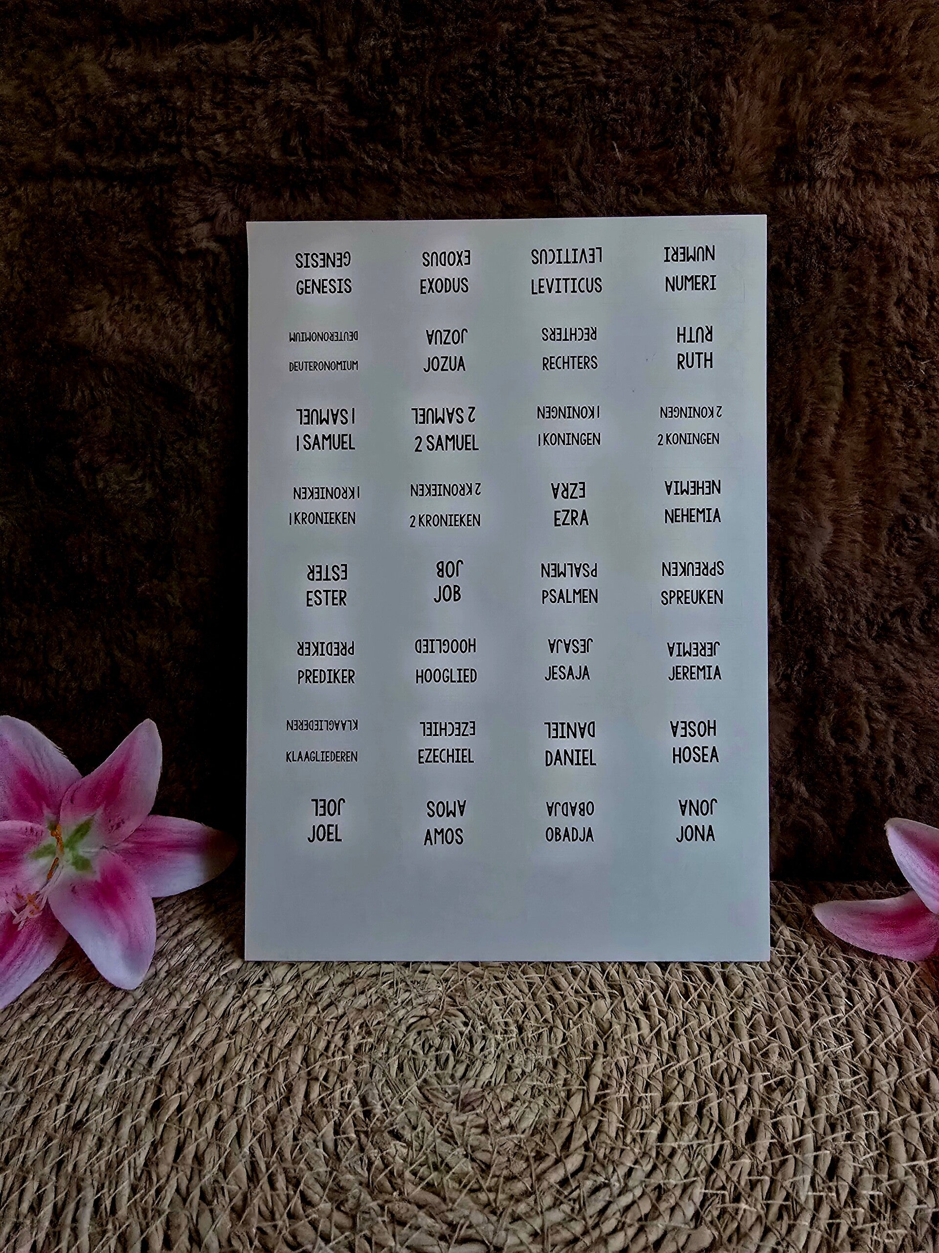 Bijbel tab stickers / Bijbelboek tabbladen – Complete Set (Strak wit design)