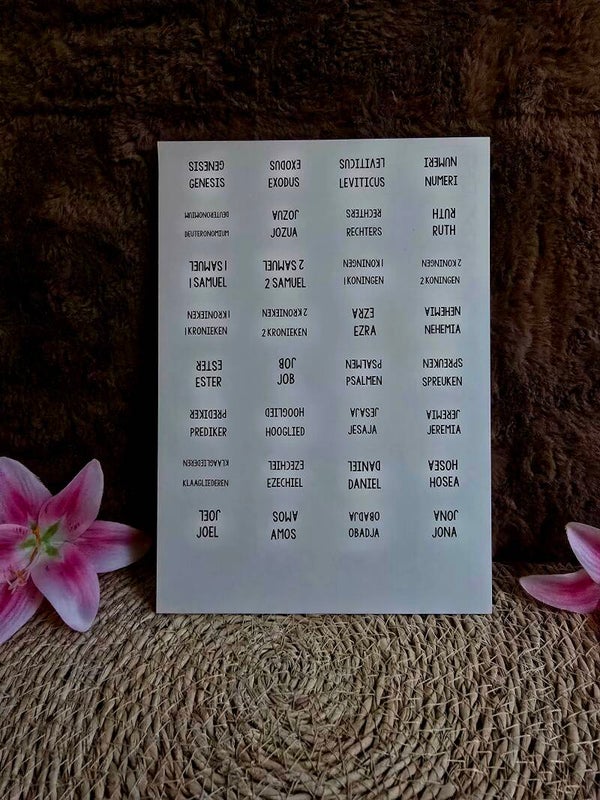 Bijbel tab stickers / Bijbelboek tabbladen – Complete Set (Strak wit design)